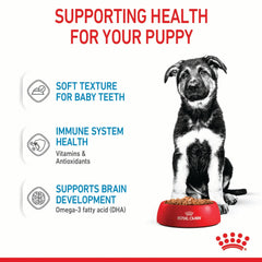 Royal Canin Maxi Puppy - Tailored Nutrition for Large Breed Puppy Growth & Development