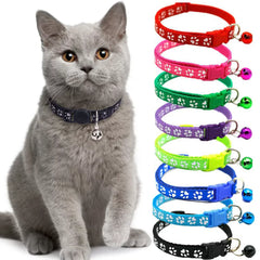 Keep your cat safe and stylish with the Adjustable Cat Bell Collar – a soft, durable, and comfortable collar designed for all cats. Featuring a secure fit and a gentle bell to help track your pet, it's perfect for everyday wear. Shop now at PetsGrocery.pk!