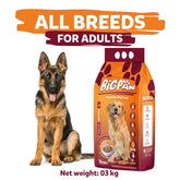 "Discover Big Paw Dog Food, offering premium nutrition tailored to meet the needs of large breed dogs. Specially formulated to support joint health, muscle maintenance, and overall vitality. Shop now!"