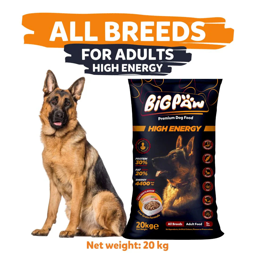 "Discover Big Paw High Energy Dog Food, specially formulated to provide premium nutrition for active and working dogs. Packed with essential nutrients to support stamina, muscle health, and overall vitality. Shop now!