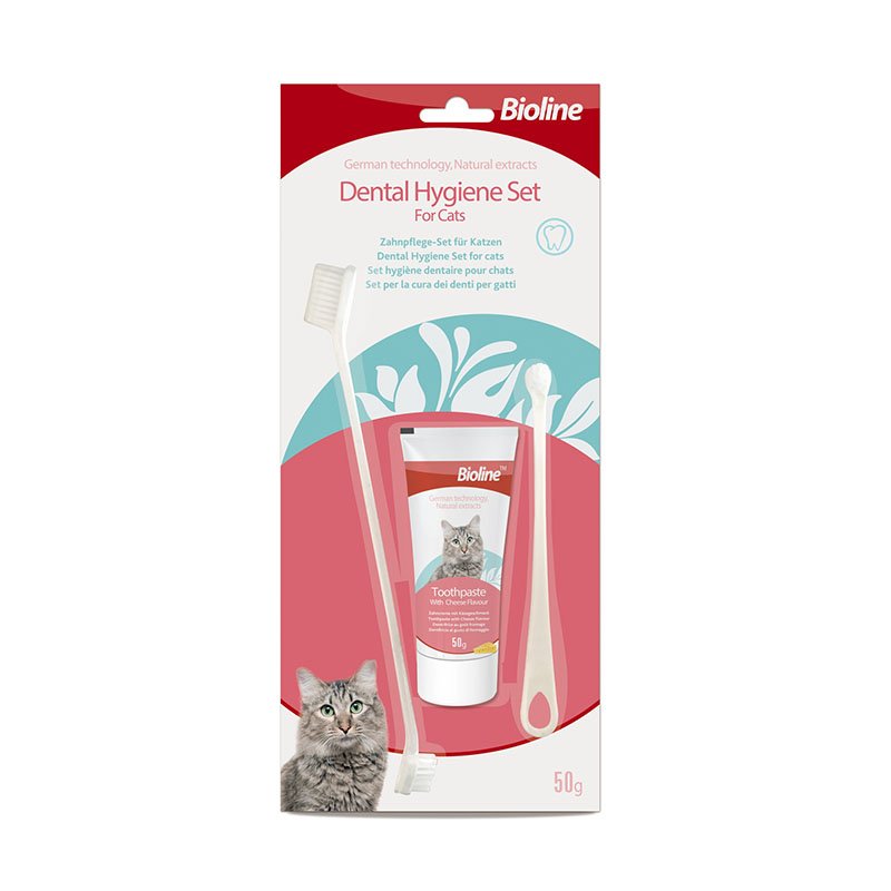 Dental Hygiene Set for Cats
A light cheese aroma improves acceptance and simplifies dental care.
2 tooth brushes with 3 different heads:
large brush head for the front teeth small brushes head for the molars.
Specification:50g