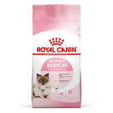 "Royal Canin Mother & Baby Cat Dry Food – specially formulated for pregnant and nursing cats, as well as growing kittens, providing essential nutrients for healthy development and strong immunity."