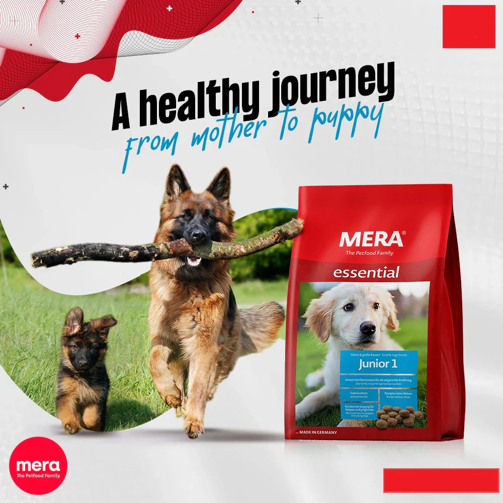 "Discover Mera Essential Junior 1 Dog Food, offering premium nutrition to support healthy growth and development for your puppy. Specially formulated to meet the needs of growing dogs. Shop now!"