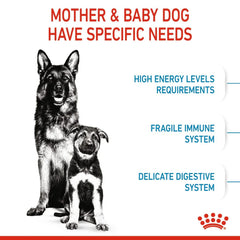 Royal Canin Maxi Starter Mother & Baby dog Food - Tailored Nutrition for Mother Dogs and Puppies