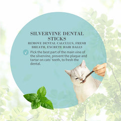 Catnip Dental Sticks