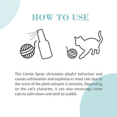 Catnip Cat Training Spray