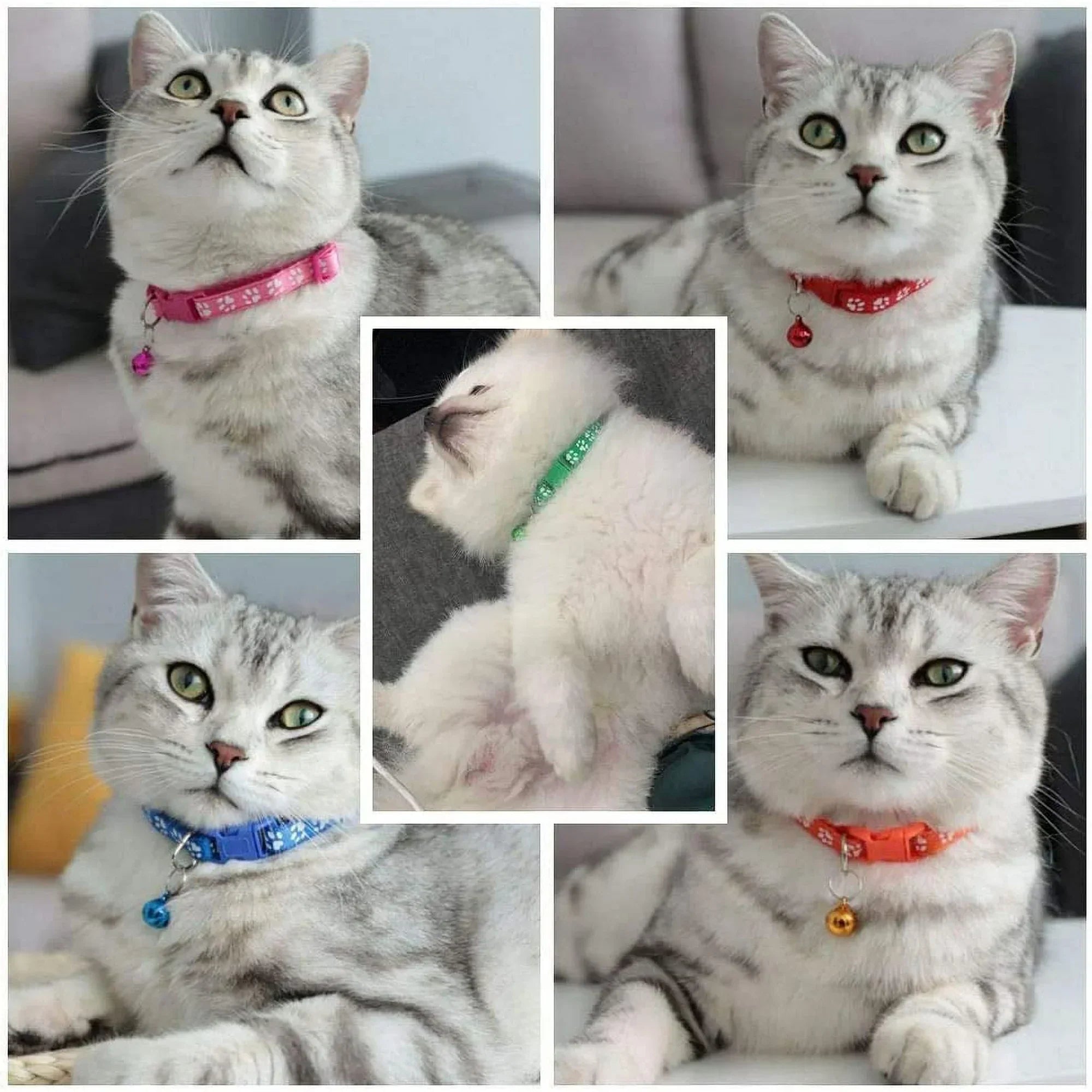 Keep your cat safe and stylish with the Adjustable Cat Bell Collar – a soft, durable, and comfortable collar designed for all cats. Featuring a secure fit and a gentle bell to help track your pet, it's perfect for everyday wear. Shop now at PetsGrocery.pk!