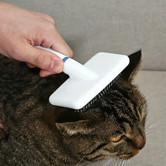 Keep your pet’s fur clean and tangle-free with the Plastic White Grooming Brush for Cats &amp; Dogs. Designed for gentle yet effective grooming, this brush removes loose hair, dirt, and dander while providing a soothing massage. Perfect for all coat types, ensuring a healthy and shiny coat. Shop now at PetsGrocery.pk!