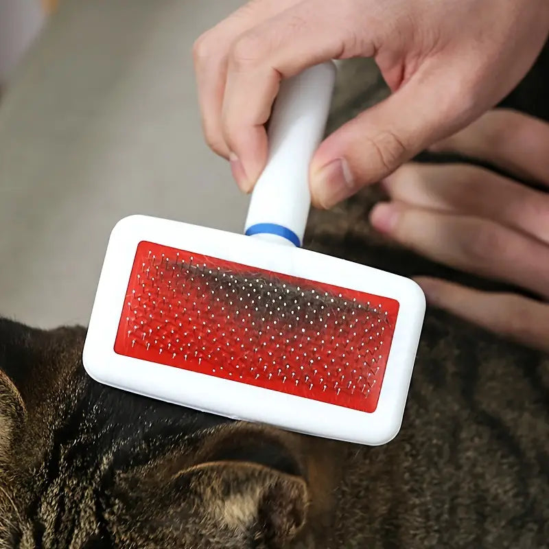 Keep your pet’s fur clean and tangle-free with the Plastic White Grooming Brush for Cats &amp; Dogs. Designed for gentle yet effective grooming, this brush removes loose hair, dirt, and dander while providing a soothing massage. Perfect for all coat types, ensuring a healthy and shiny coat. Shop now at PetsGrocery.pk!