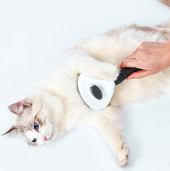 Make grooming effortless with the Round Button Brush for Cats &amp; Dogs. Designed for easy detangling and gentle fur care, this grooming tool ensures your pet stays comfortable and well-groomed. Shop now!