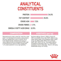 Royal Canin Mother & Baby Cat Dry Food – Essential Nutrition for Pregnant Cats & Kittens